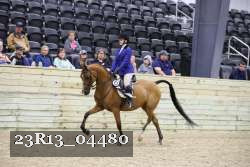 23R13_04480 thumbnail