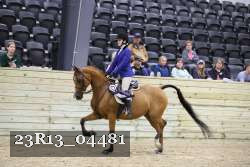 23R13_04481 thumbnail