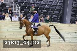 23R13_04482 thumbnail