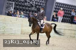 23R13_04483 thumbnail
