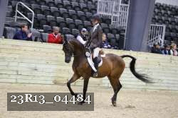 23R13_04484 thumbnail