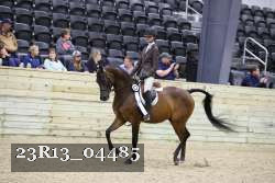 23R13_04485 thumbnail