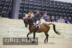 23R13_04486 thumbnail