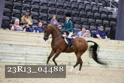 23R13_04488 thumbnail