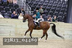 23R13_04489 thumbnail