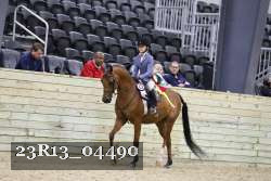 23R13_04490 thumbnail
