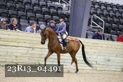 23R13_04491 thumbnail