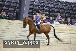 23R13_04492 thumbnail