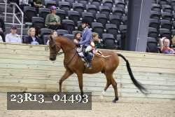 23R13_04493 thumbnail