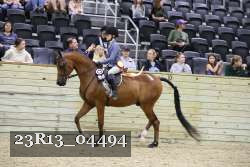 23R13_04494 thumbnail