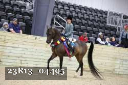 23R13_04495 thumbnail