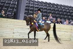 23R13_04496 thumbnail