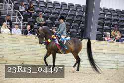 23R13_04497 thumbnail