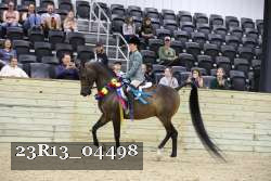 23R13_04498 thumbnail