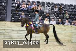 23R13_04499 thumbnail