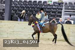 23R13_04501 thumbnail