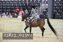 23R13_04502 thumbnail