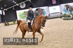 23R13_04545 thumbnail