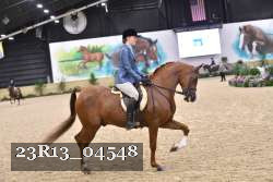 23R13_04548 thumbnail