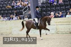 23R13_04557 thumbnail
