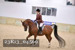 23R13_04569 thumbnail