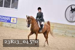 23R13_04570 thumbnail