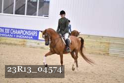 23R13_04574 thumbnail