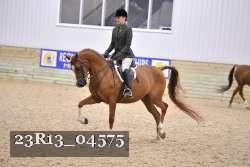 23R13_04575 thumbnail