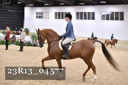 23R13_04577 thumbnail