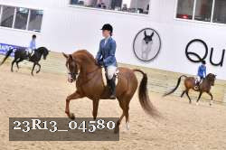 23R13_04580 thumbnail
