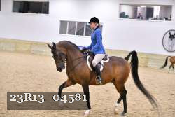 23R13_04581 thumbnail