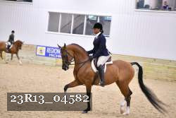 23R13_04582 thumbnail