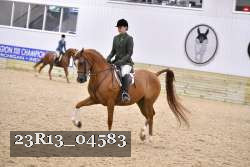 23R13_04583 thumbnail