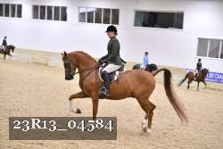 23R13_04584 thumbnail