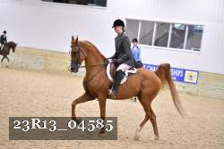 23R13_04585 thumbnail