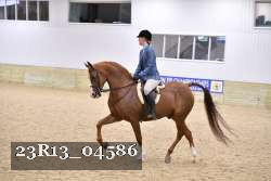23R13_04586 thumbnail