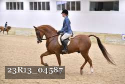 23R13_04587 thumbnail