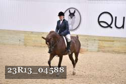 23R13_04588 thumbnail