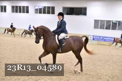 23R13_04589 thumbnail