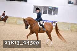 23R13_04590 thumbnail