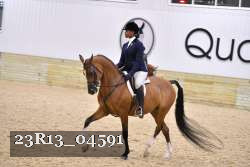 23R13_04591 thumbnail