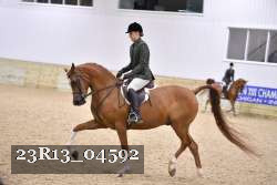 23R13_04592 thumbnail