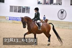 23R13_04593 thumbnail