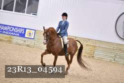 23R13_04594 thumbnail