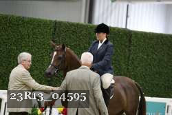 23R13_04595 thumbnail