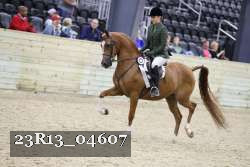 23R13_04607 thumbnail