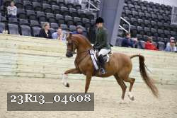 23R13_04608 thumbnail