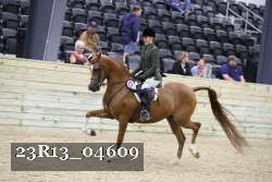 23R13_04609 thumbnail