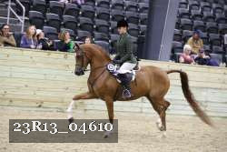 23R13_04610 thumbnail