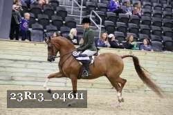 23R13_04611 thumbnail